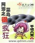 网游之菜鸟很疯狂 网游之菜鸟很疯狂